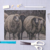 素朴羊の田舎道牧場ファーム群 薄葉紙 (クラフト)