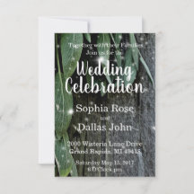 素朴裏庭の納屋の木とハーブ結婚