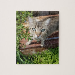素朴野外猫 ジグソーパズル