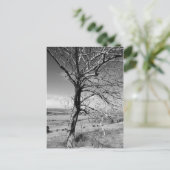 素朴 ポストカード (スタンド正面)