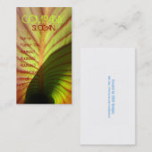 素朴 名刺 (正面/裏面)