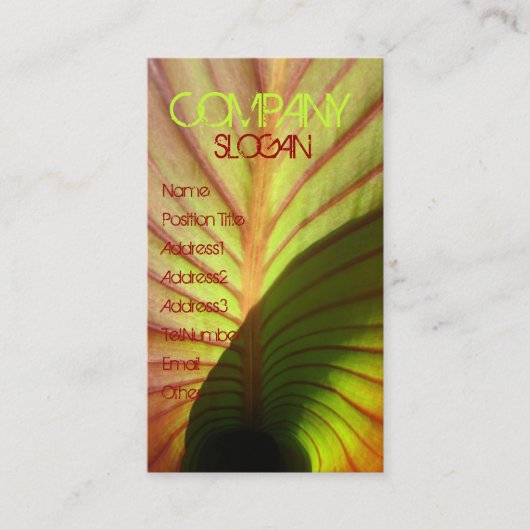 素朴 名刺 (正面)