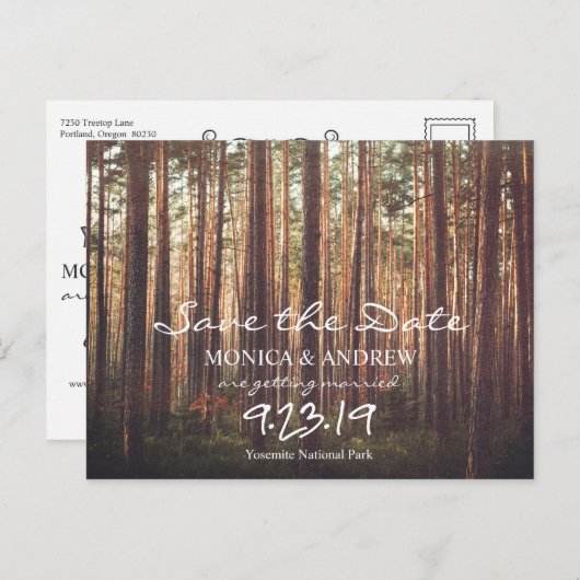 素朴Date Forest Treeポストカードの保存 シーズンポストカード (正面/裏面)