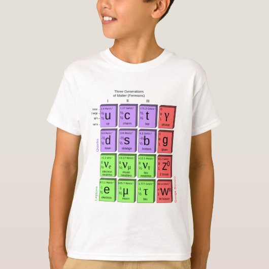 素粒子のStandartモデル Tシャツ (正面)