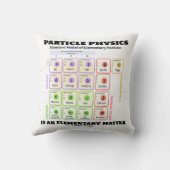 素粒子物理学は素質モデルである クッション (裏面)