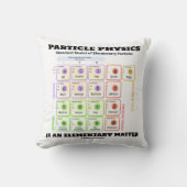 素粒子物理学は素質モデルである クッション (正面)