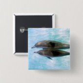 紡績工のイルカ|オアフハワイ 缶バッジ (正面&裏面)