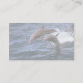 紡績工のイルカ 名刺 (裏面)