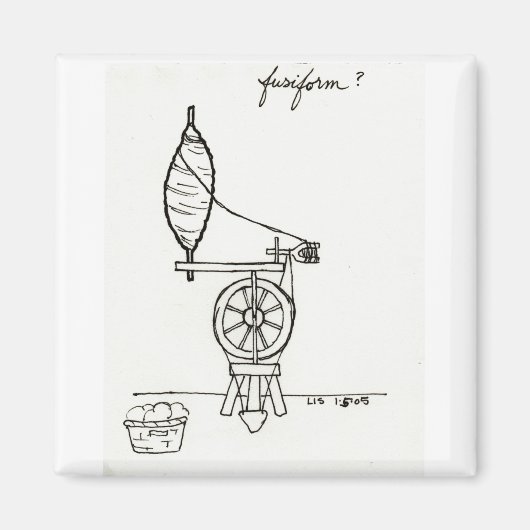 紡錘状磁石 マグネット (正面)