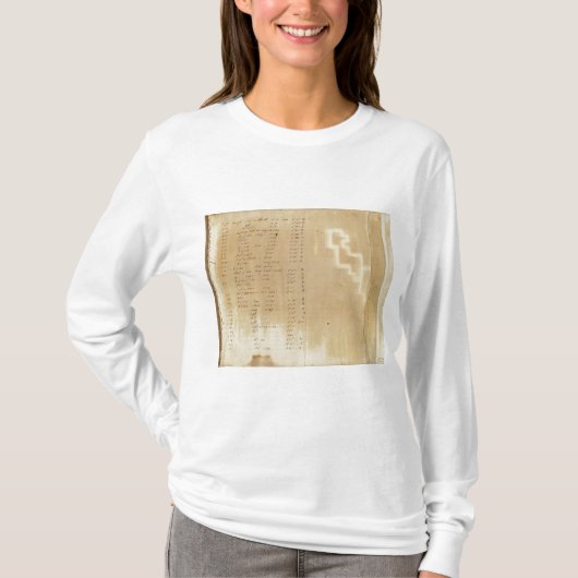 索引ミシガン州およびインディアナのボーダー調査 Tシャツ (正面)