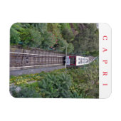 索状索状ビュー冷蔵庫用マグネット マグネット (横)