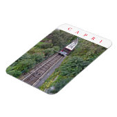 索状索状ビュー冷蔵庫用マグネット マグネット (左側)