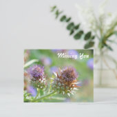 紫かわいらしのアザミの花写真 ポストカード (スタンド正面)