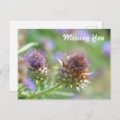 紫かわいらしのアザミの花写真 ポストカード (正面/裏面)