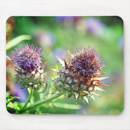 紫かわいらしのアザミの花写真 マウスパッド (正面)