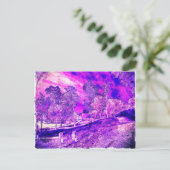 紫かわいらしの写真。 ポストカード (スタンド正面)