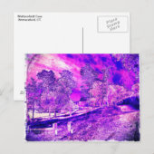 紫かわいらしの写真。 ポストカード (正面/裏面)