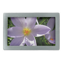 紫かわいらしの園花。美丽的紫色花