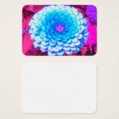 紫かわいらしの夏の庭の青い《植物》百日草 (正面&裏面)