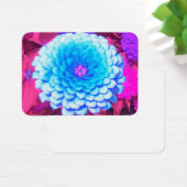 紫かわいらしの夏の庭の青い《植物》百日草 (デスク)