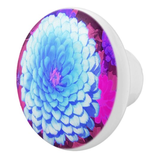 紫かわいらしの夏の庭の青い《植物》百日草 セラミックノブ (右)