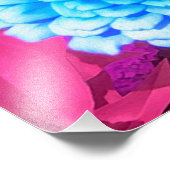 紫かわいらしの夏の庭の青い《植物》百日草 フォトプリント            (角)