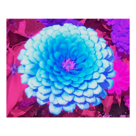 紫かわいらしの夏の庭の青い《植物》百日草 ポスター