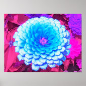 紫かわいらしの夏の庭の青い《植物》百日草 ポスター (正面)