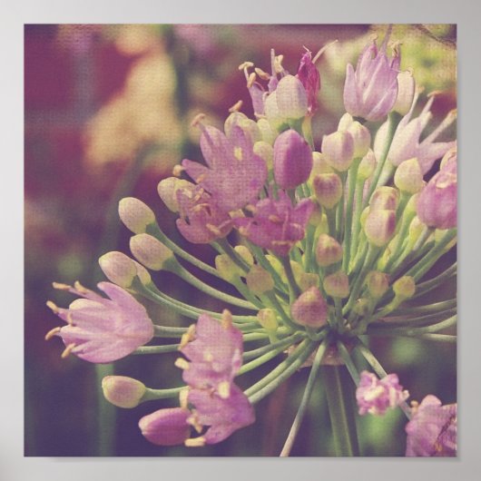 紫かわいらしの花 ポスター (正面)
