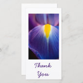 紫かわいらしの虹彩サンキューカード サンキューカード (正面/裏面)