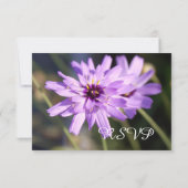 紫かわいらしエレガントデイジー花夏rsvp 出欠カード (裏面)