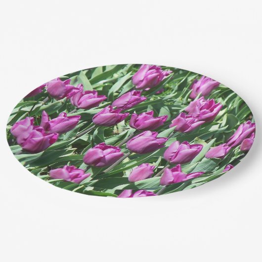 紫かわいらしチューリップフローラ ペーパープレート (アングル)