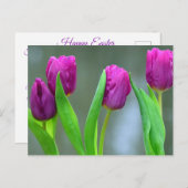 紫かわいらしチューリップ復活祭はがき シーズンポストカード (正面/裏面)