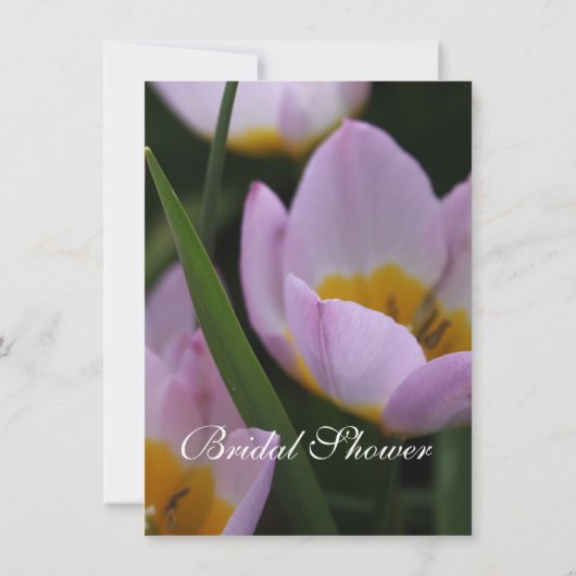 紫かわいらしチューリップ花ブライダルシャワー 招待状 (裏面)