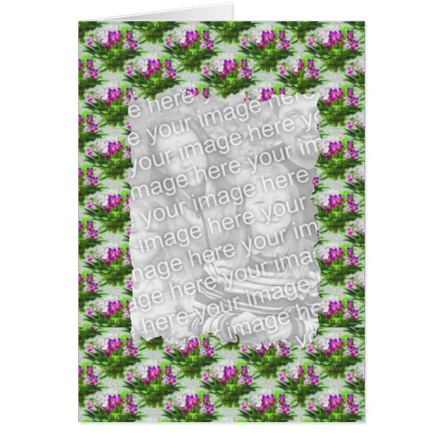 紫かわいらし色の花がフォトカードを作成 (正面)