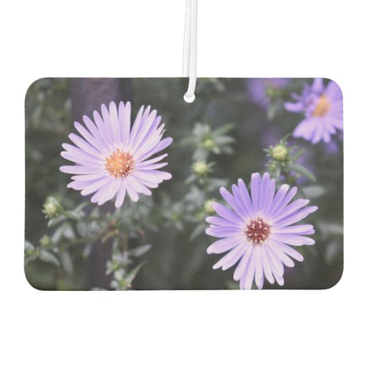 紫かわいらし花オリジナル園写真 カーエアーフレッシュナー (裏面)