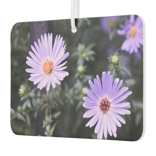 紫かわいらし花オリジナル園写真 カーエアーフレッシュナー (左)