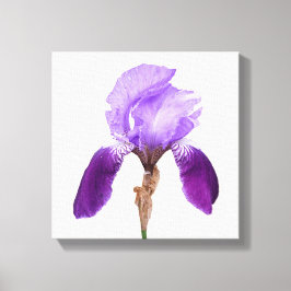 紫かわいらし虹花モダンフローラ素晴らし芸術 キャンバスプリント