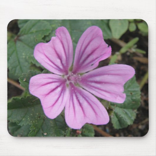 紫かわいらし野花マウスパッド マウスパッド (正面)