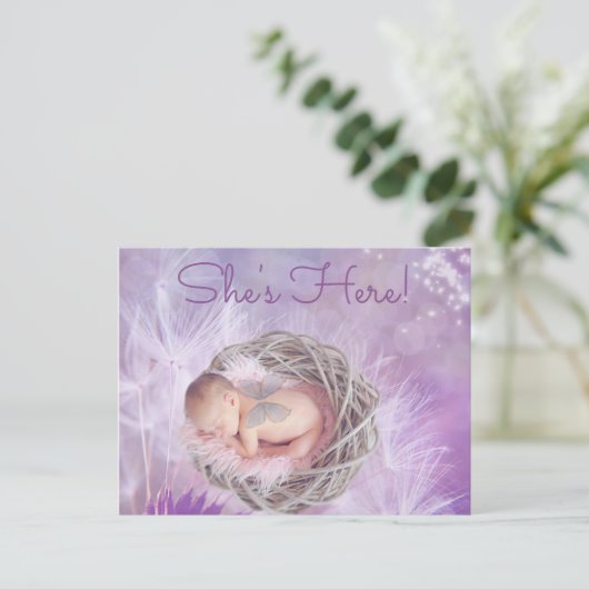 紫かわいらし「Shes Here」ベビー誕生発表 案内ポストカード (スタンド正面)