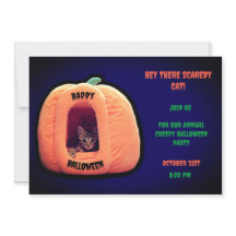 紫とオレンジのカボチャの不気味な子猫