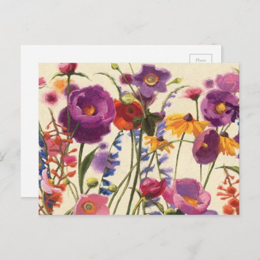 紫とオレンジのポピーのメロディー ポストカード (正面/裏面)