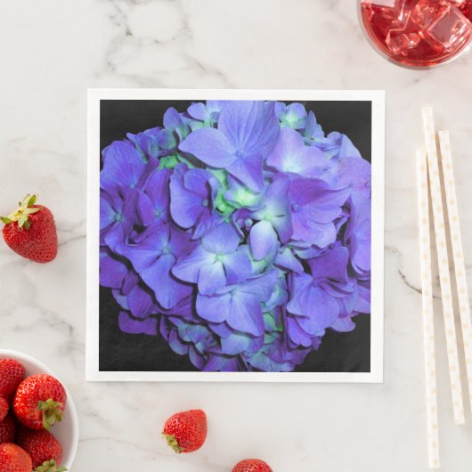 紫とティール（緑がかった色）あじさい、紫の青い花 (インサイチュ)