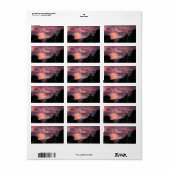 紫とピンクのフロリダの夕日の松の木の上 ラベル (フルシート)