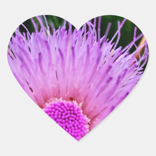 紫とピンクの花 ハートシール (正面)