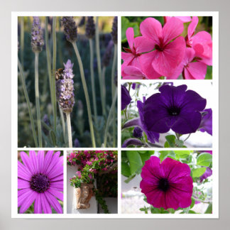紫とピンクの花 ポスター