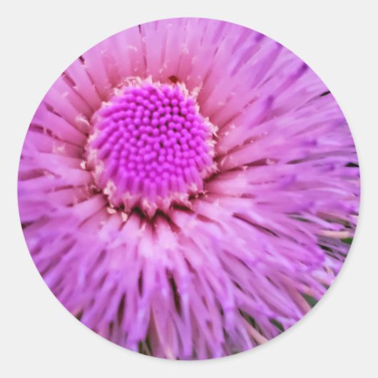 紫とピンクの花 ラウンドシール (正面)