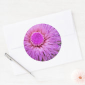 紫とピンクの花 ラウンドシール (封筒)