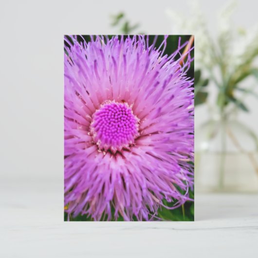 紫とピンクの花 招待状 (スタンド正面)