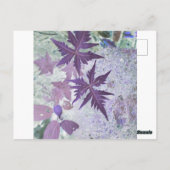 紫とヘザーのパステルシェード ポストカード (裏面)